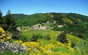 Le Relais De Rochepaule